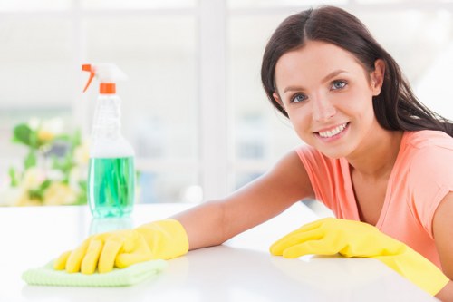 Professional cleaning of a hard floor in a Camden Town property
