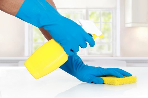 Local domestic cleaner working in a Camden Town property