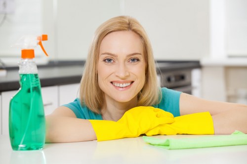 Local cleaner servicing flats and mixed-use buildings in Camden Town