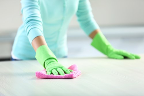 Local cleaners working in a Camden Town residential property