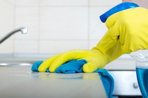 Local cleaner working in a Camden Town property