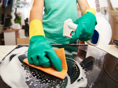 Cleaning pet stains from upholstered furniture in Camden Town