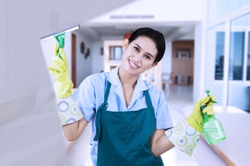 Mattress cleaning for rental and guest accommodation in Camden Town