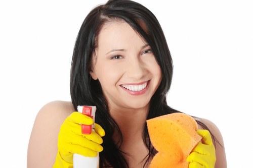 Bathroom domestic cleaning in a Camden Town property